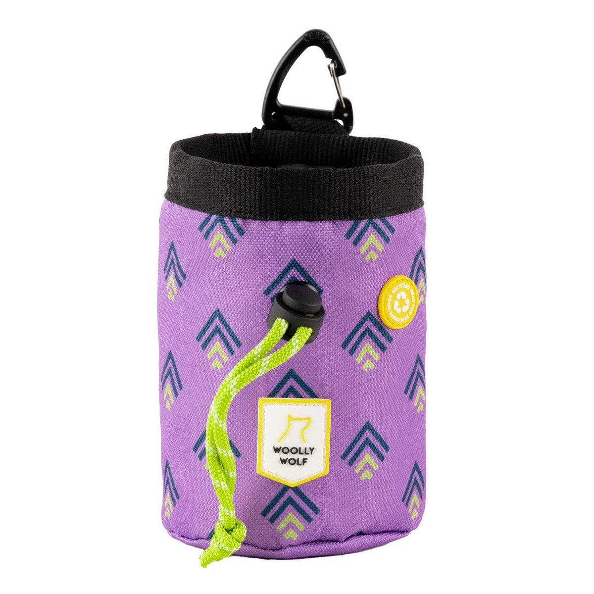 Northern Lights Dog Snack Bag