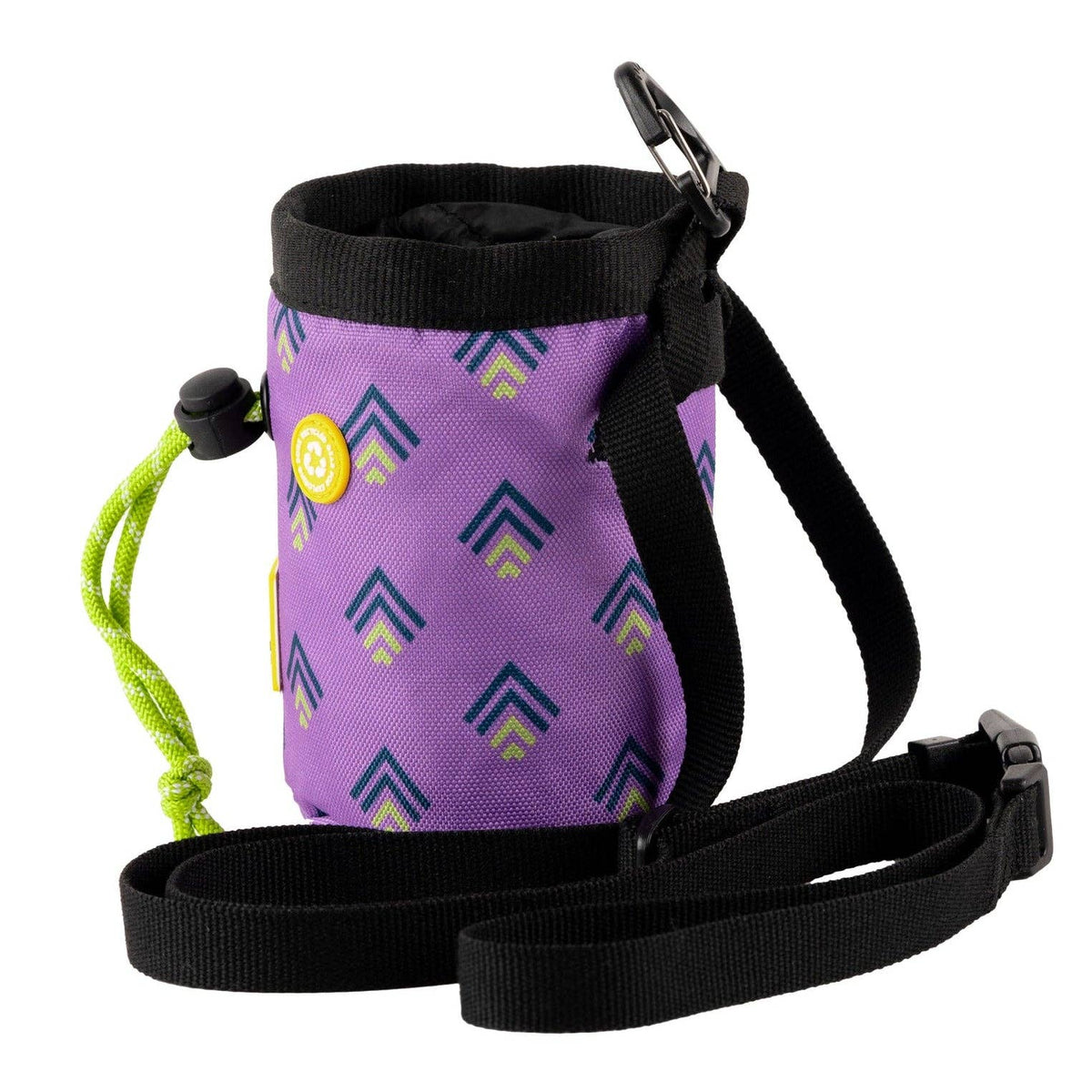Northern Lights Dog Snack Bag