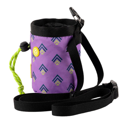Northern Lights Dog Snack Bag