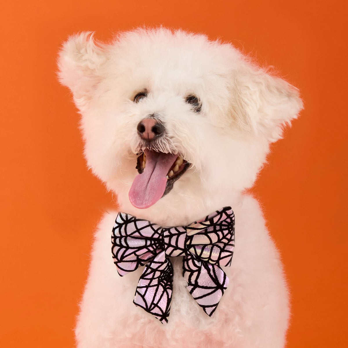 The Foggy Dog Holographic Spiderweb Lady Dog Bow
