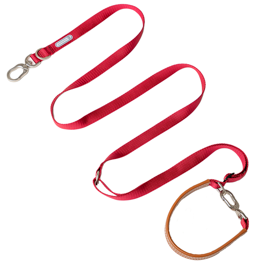Bobo Series Multi-functional Dog Leash - Red