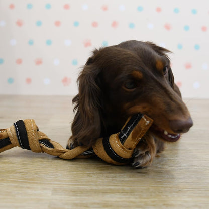 DoggyMan LEATHER MADE ROPE DOG TOY