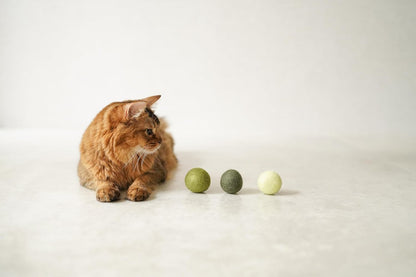 Gari Gari Mofu Natural Wool Cat Toy Ball (3-Pack)