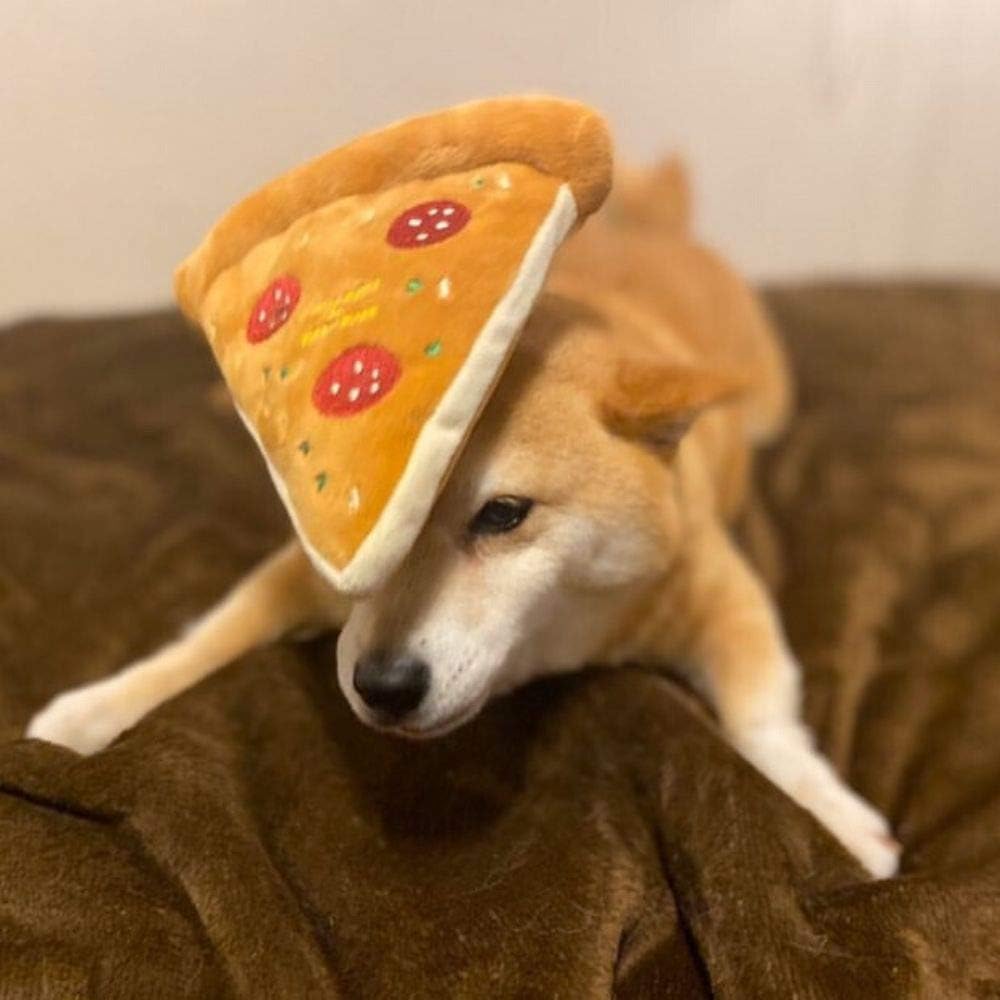 Pizza Pet Toy |  LOVE PETS by BESTEVER