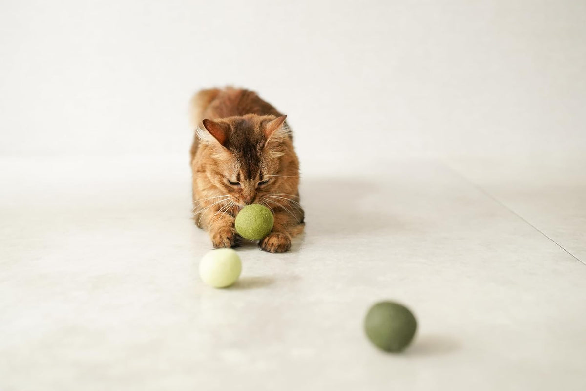 Gari Gari Mofu Natural Wool Cat Toy Ball (3-Pack)