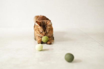Gari Gari Mofu Natural Wool Cat Toy Ball (3-Pack)