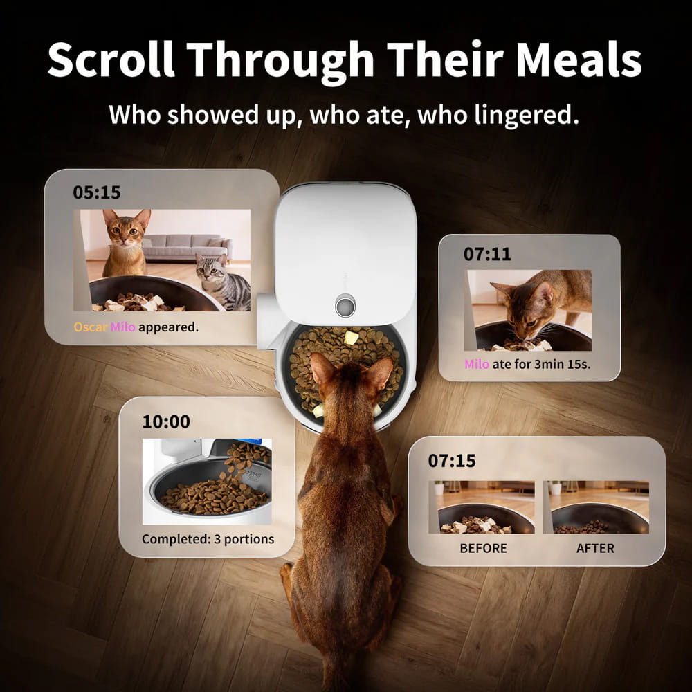 (NEW)PETKIT YumShare Solo 2 Smart Feeder With Camera