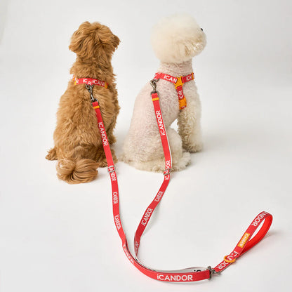 iCANDOR Gentle Leash Dual 1.1-1.5m- iCANDOR Signature