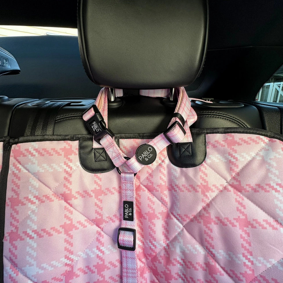 Pablo Headrest Car Restraint