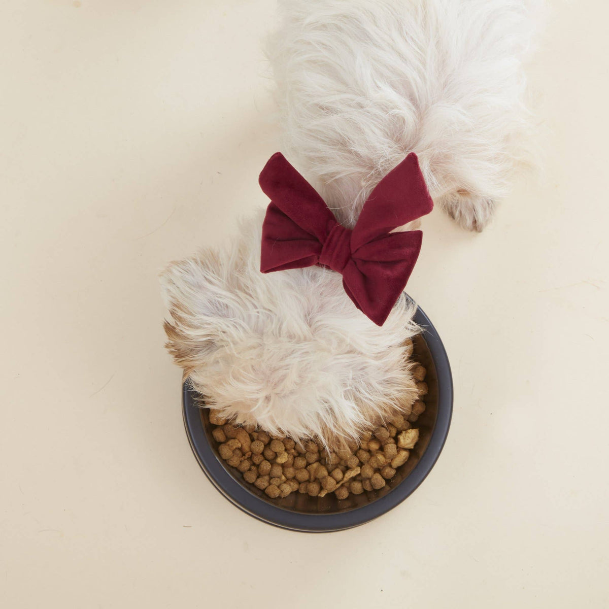 The Foggy Dog Burgundy Velvet Lady Dog Bow