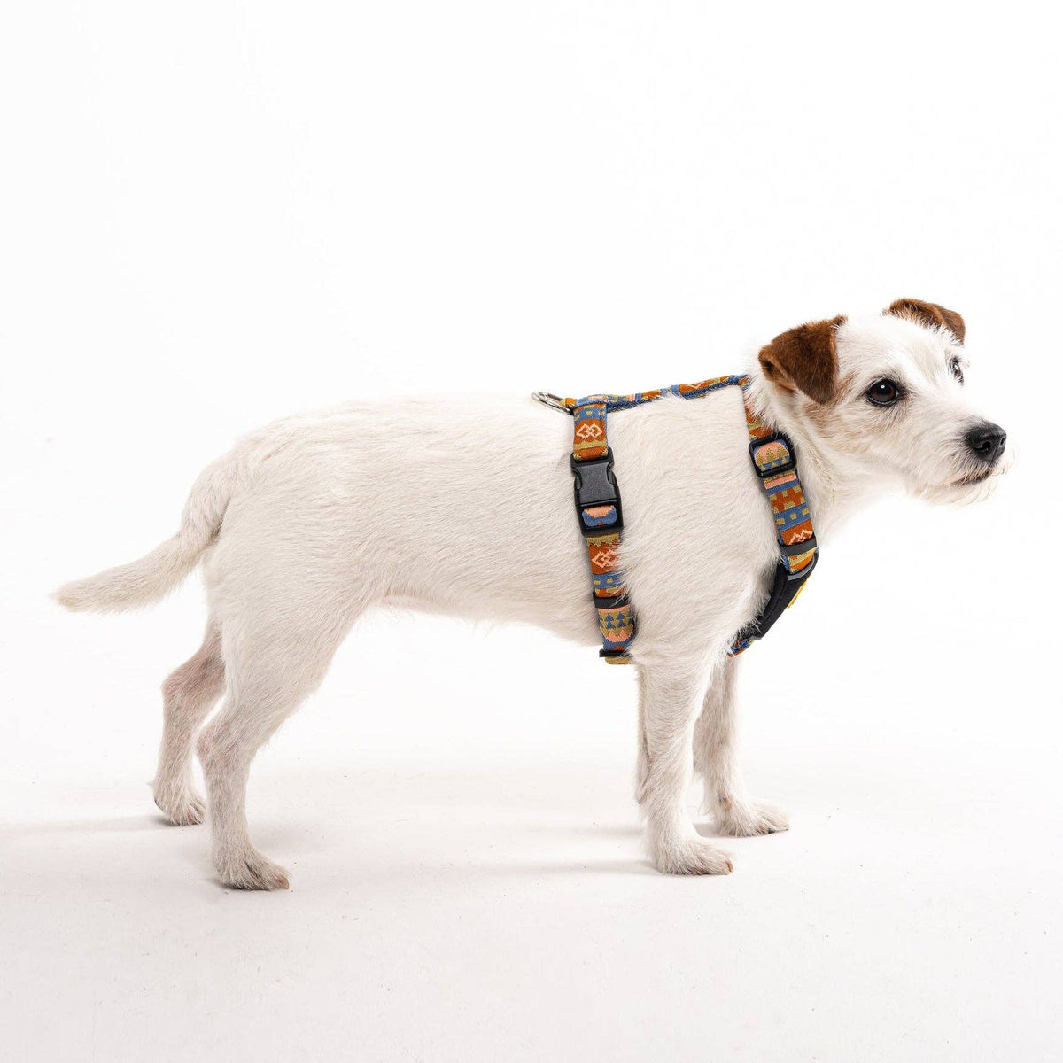 Nightless Night Dog Harness