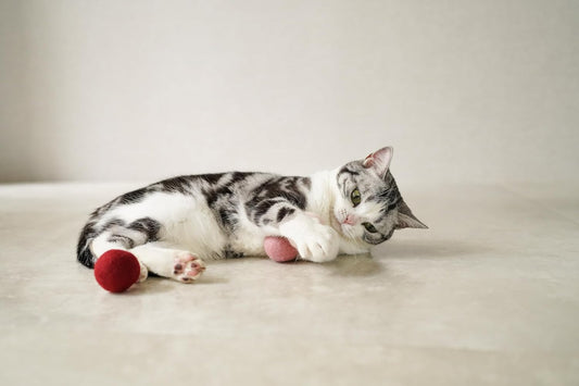 Gari Gari Mofu Natural Wool Cat Toy Ball (3-Pack)