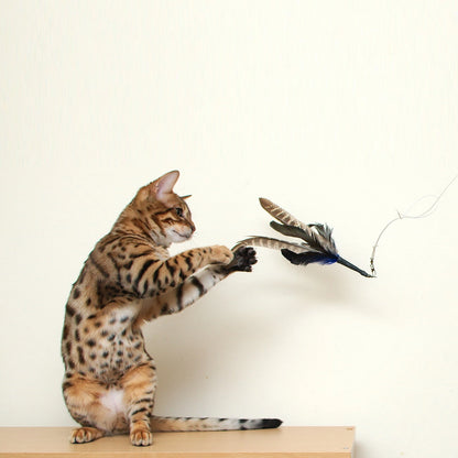 Go Cat Da Purr-Peller Spinning Feather Propeller Cat Wand Toy