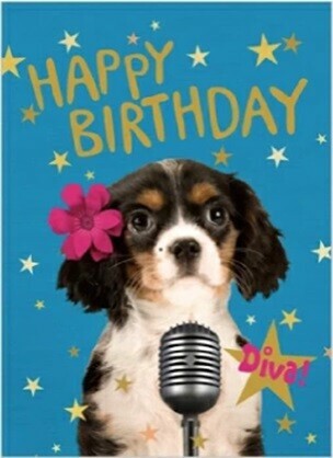 French-Designed Cavalier King Charles Spaniel Happy Birthday Greeting Card