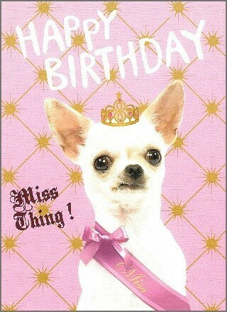 French-Designed Chihuahua Happy Birthday Greeting Card