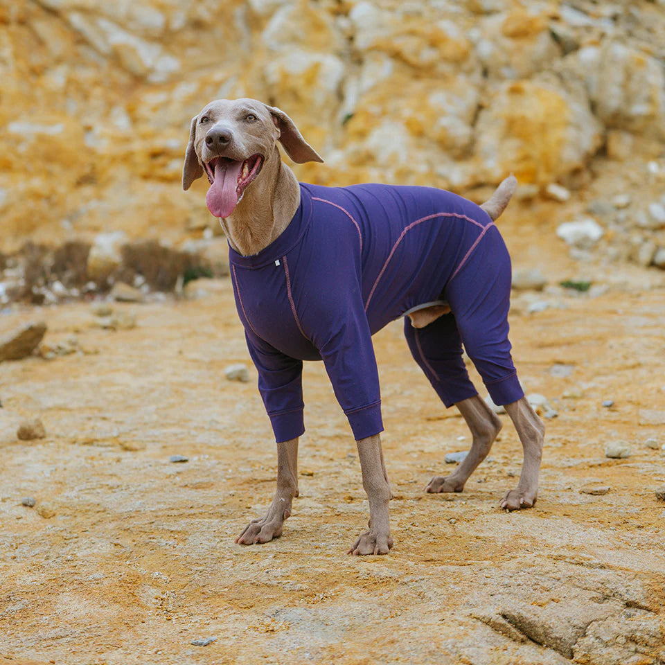 BlackDoggy All-Round Cooling Jacket 25