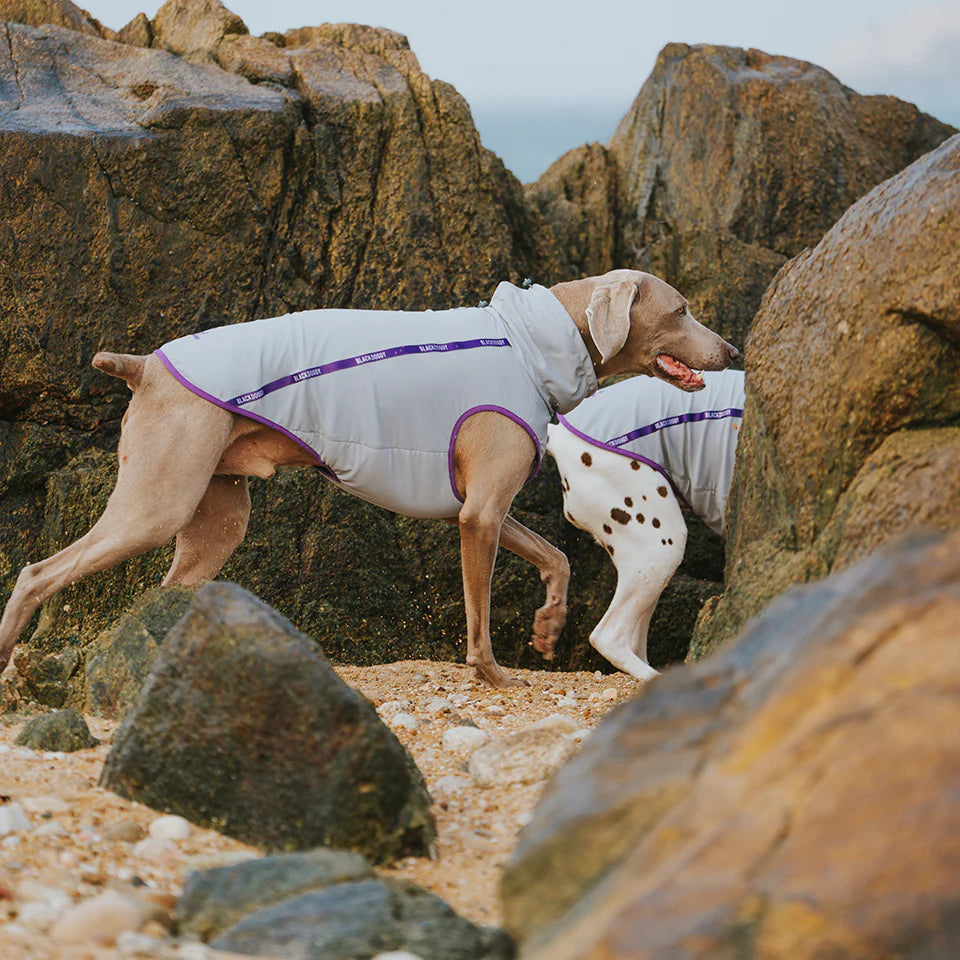BlackDoggy “Javik” Cooling Vest
