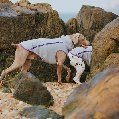 BlackDoggy “Javik” Cooling Vest