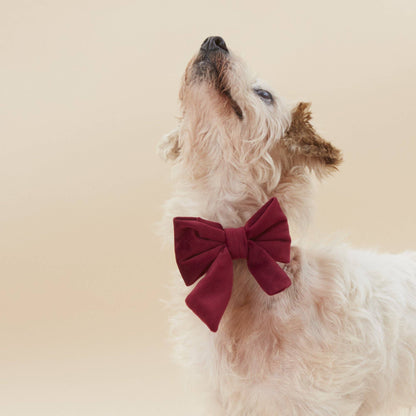 The Foggy Dog Burgundy Velvet Lady Dog Bow