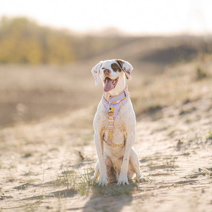Sunshower Soft Martingale Collar