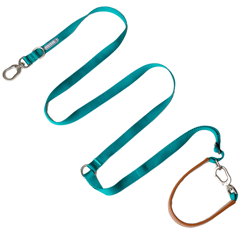 Bobo Series Multi-functional Dog Leash - Green