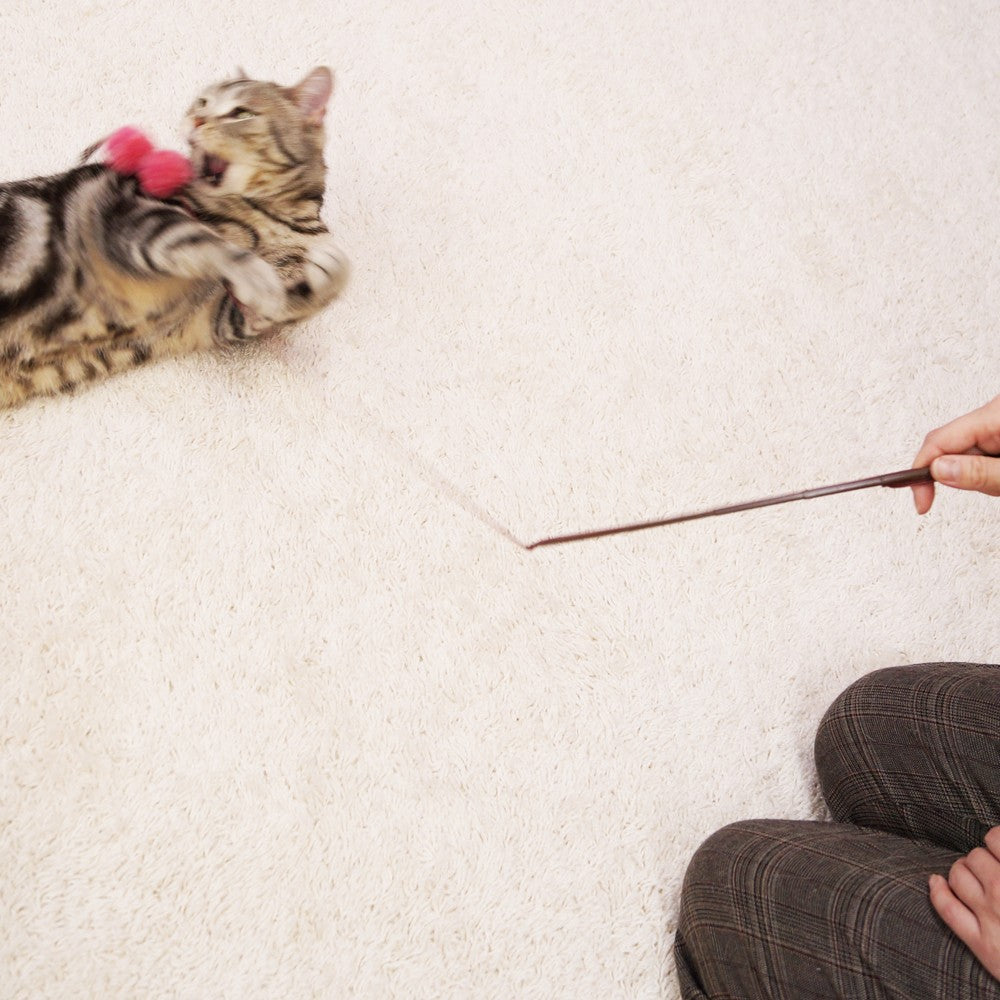 Cattyman Pink Pom Pom Cat Teaser