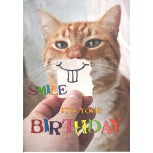 Postcard-Smile Cat