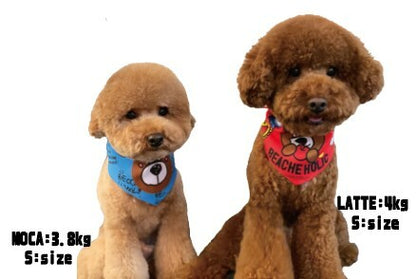 Beache Everyone Smile Bandana