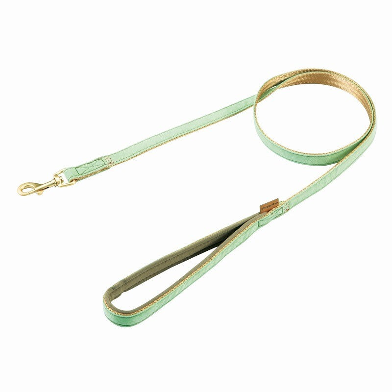 Doggy’s Tailor Dog Lead – Suede – Light Green S