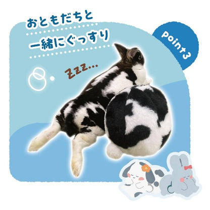 Animan Rabbit Toy - Bunny Bum Ball