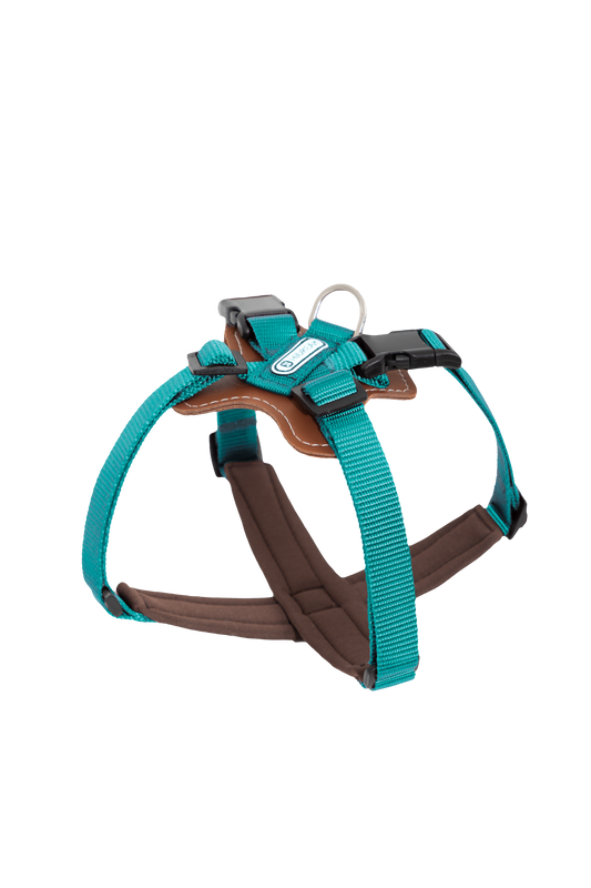 Bobo Series X-Style Dog Harness - Aden Green