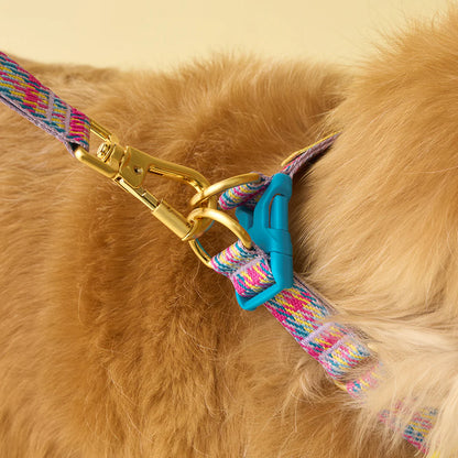 iCANDOR Gentle Collar Dual