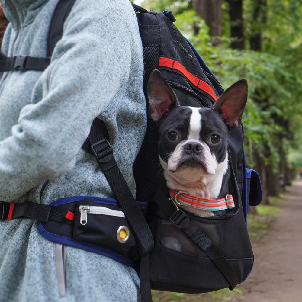 iCANDOR JIGE Bag_Dynamic Black