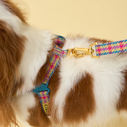 iCANDOR No-Pull Harness_Edinburgh Check