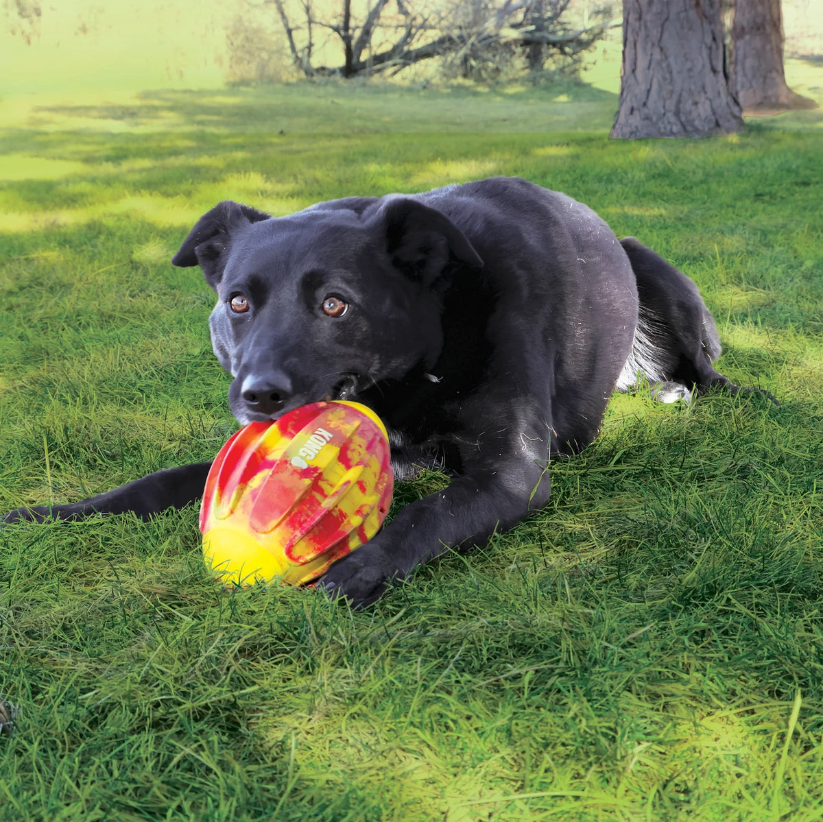 KONG Flexball Sport Football Dog Toy - Red Medium