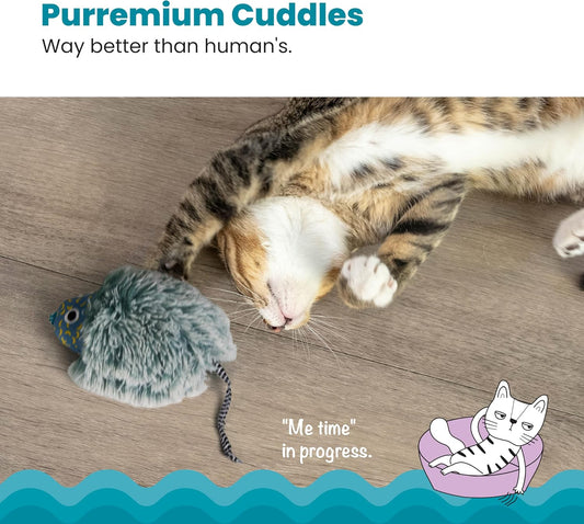 PETSTAGES CAT NIGHTTIME GLOW IN DARK CUDDLE TOY