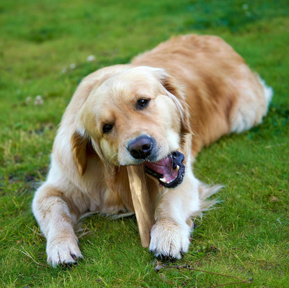 Fuzzel OLIVE WOOD MEDIUM 2 PACK - Natural Dog Chew Toy for Medium/Large Dog
