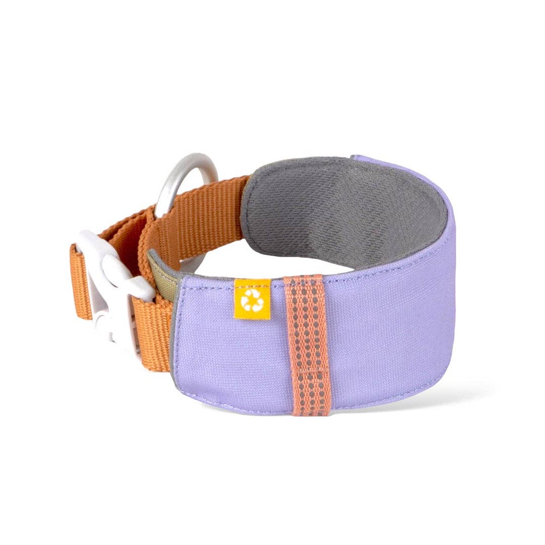 Alpha 360 Dog Collar Recycled (RPET)