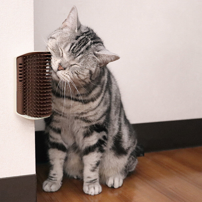 Cattyman Cat Grooming Brush Fixable on Wall/Pillar