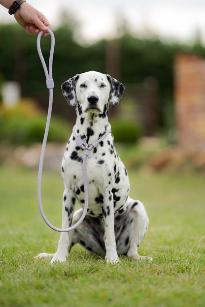 Woolly Wolf Retriever Leash Black