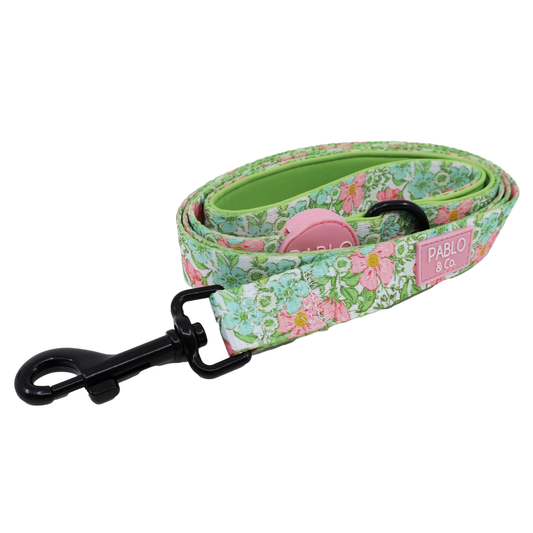 Flora & Fern: Dog Leash