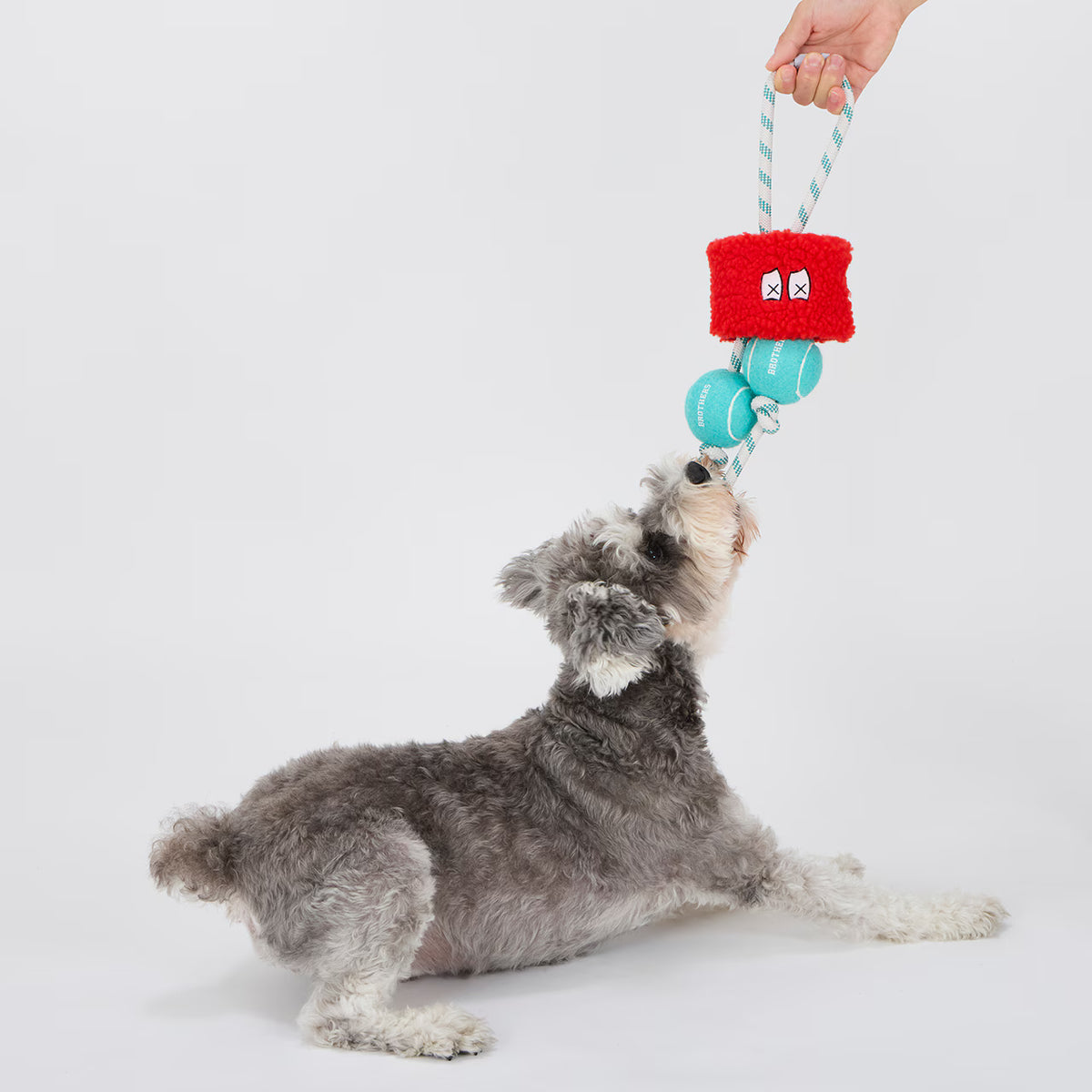 Mandarine Brothers PARI-PARI BOOSTER Dog Toy