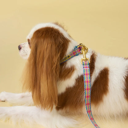 iCANDOR Gentle Collar Dual