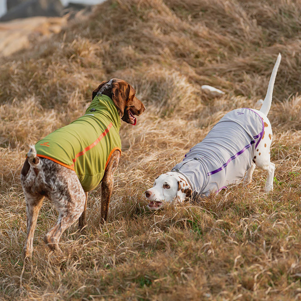 BlackDoggy “Javik” Cooling Vest