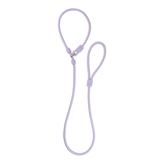 Woolly Wolf Retriever Leash Lavender