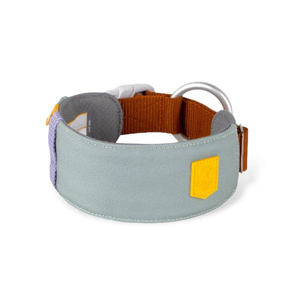 Alpha 360 Dog Collar Recycled (RPET)