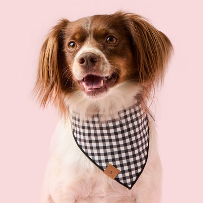 The Foggy Dog Spooky Season Reversible Dog Bandana