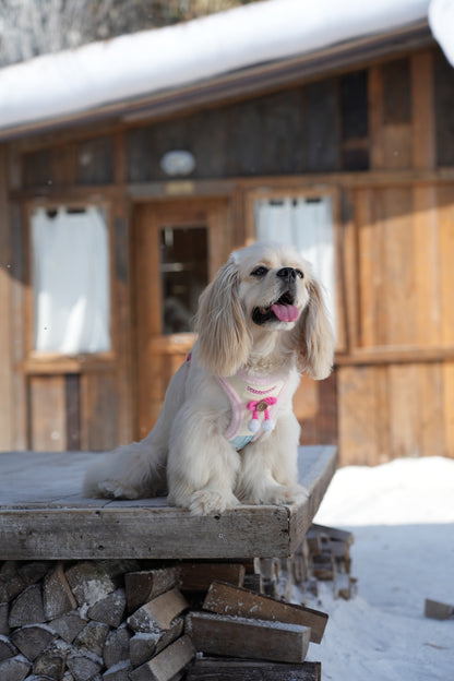 TUFFHOUND Holiday Bow Small Dog Harness