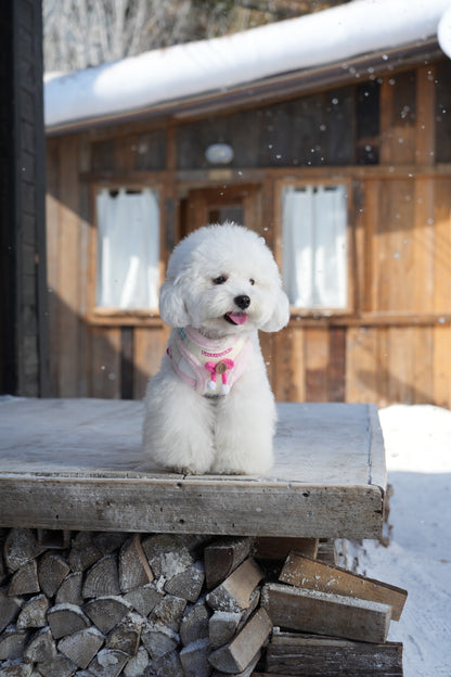 TUFFHOUND Holiday Bow Small Dog Harness