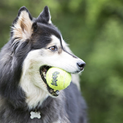 KONG AIRDOG SQUEAKER BALL W/ROPE